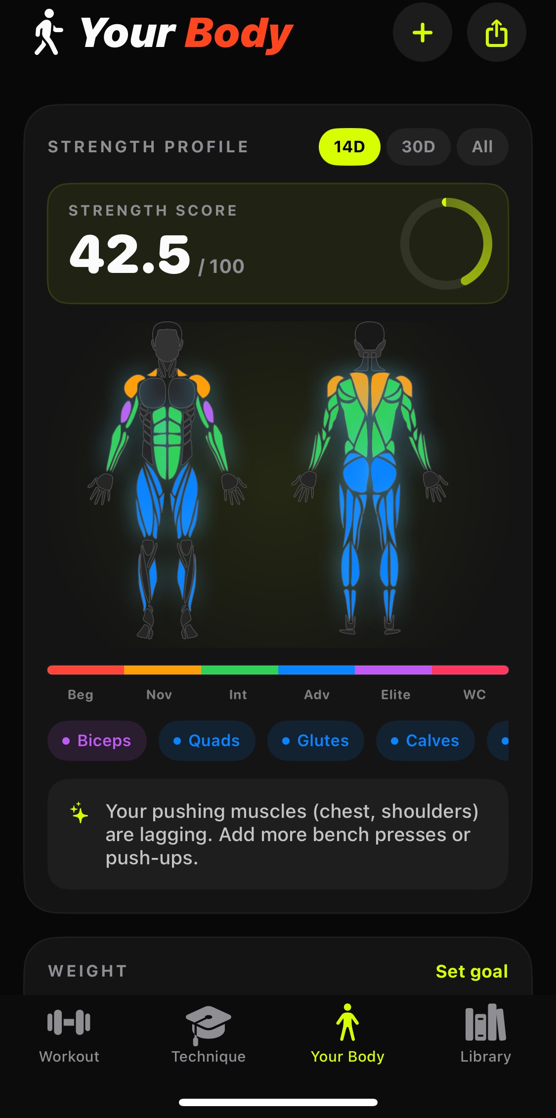 Incli AI Your Body screen with front and back muscle heatmaps